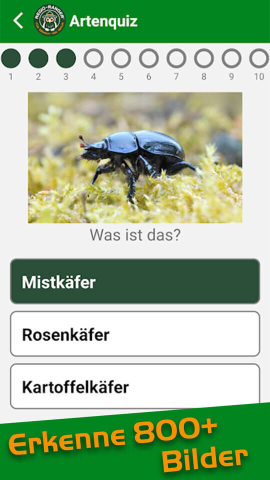 App_1