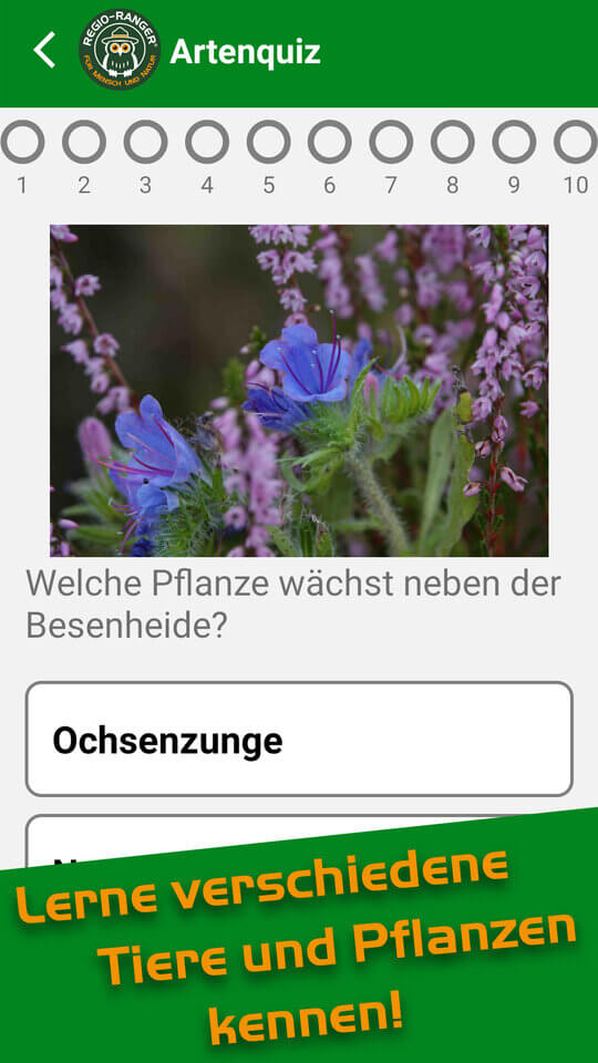 App_4 tiere pflanzen